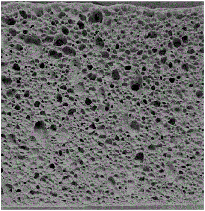 怎么区分发泡陶瓷好坏图解